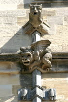 Detail of Gargoyle.Oxford University Gargoyle Winged Monkey animal winged College Old stone Heritage English England British Britain UK British Isles European Great Britain Northern Europe United Kin...