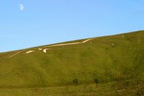 The chalk White Horse.Wiltshire  Uffington  White Horse hill  chalk  carving  Great Britain  UK  England  Europe  old  countryside  rural  picturesque  European  scenic  scenery  landscape  history...