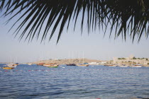 View from palm lined bay towards Bodrum castle formerly Castle of St Peter under Knights Hospitaller of Rhodes  Ottoman since 1522. Turkish Aegean coastmediterraneanresortformerly HalicarnassusHa...