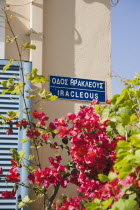 Iracleous Place street sign opposite Agia Paraskevi Greek Orthodox Church in Kos Town with dark pink flowering plant in foreground.Greek IslandsAegeanMediterraneanKossummerseasonholidayDestina...