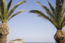 Distant view of Guvercin Ada or Pigeon Island between palm tree tops.TurkishAegeancoastresortSummersunshineearly Summer seasonholidaydestinationdestinations ElladaEuropeanSouthern Europe D...