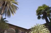 Angled part view of undersides of rooftops with tops of different palms against clear  blue sky. TurkishAegeancoastresortSummersunshineearly Summer seasonholidaydestinationdestinations Ellad...