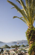 Lines of parasols and sunbeds for hire along beach with palm tree in foreground and views across bay beyond on clear bright early Summer day.formerly Greek Physkos in CariaTurkish Rivieracoastcoas...