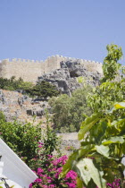 Lindos.  The Akropolis on rocky hill top with bright pink flowering shrub in gardens of house in Lindos in the foreground below. AegeanGreekSummer seasonRodicoast coastalpackage holidaytrip des...