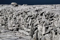 Detail of Dry Stone Wall in Limestone District.Eire European Irish Northern Europe Republic Ireland Poblacht na hEireann Blue Gray Karst Sedimentary Rock Scenic