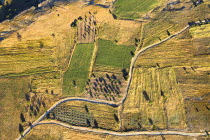 Turkey, Cappadocia, Goreme, Hot air balloons in flight over landscape, patterns seen from hot air balloon