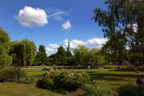 England, Wiltshire, Salisbury, Cathedral spire seen across public park on Mill Road. Tallest church spire in Britain.