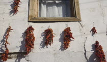 Turkey, Aydin Province, Kusadadsi, Red chilli peppers hung on strings to dry in summer sunshine around window frame of whitewashed house in the old town and casting shadow against the cracked plaster...