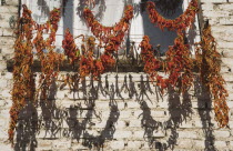 Turkey, Aydin Province, Kusadasi, Strings red and orange chilies hung up to dry in late afternoon summer sunshine from window frame of whitewashed house in the old town casting shadows against the bri...