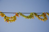 Turkey, Aydin Province, Kusadasi, Strings of brightly coloured chilies hanging up to dry in late afternoon summer sunshine in the old town.