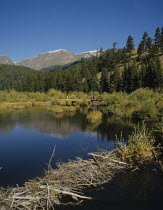 USA, Colorado, Rocky Mountain National Park, Beaver Dam Lake.