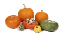 Food, Vegetables, varieties of Pumpkins and Squashes.