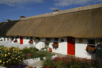 Ireland, County, Waterford, Dunmore East, Row of traditional small thatched cottages with red doors and flowers gardens.