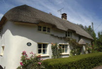 England, Devon, Traditional thatched cottage.