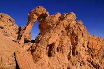 USA, Nevada, Valley of Fire State Park, Elephant shape rock formation.