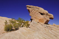 USA, Nevada, Valley of Fire State Park,