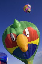 USA, New Mexico, Albuquerque, Annual balloon fiesta, Colourful hot air balloons.