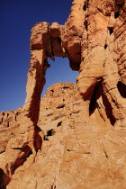 USA, Nevada, Valley of Fire State Park, Elephant shape rock formation.