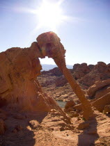 USA, Nevada, Valley of Fire State Park, Elephant shape rock formation.