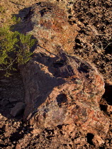 USA, Nevada, Valley of Fire State Park,