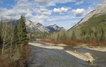 Canada, Alberta, Kananaskis, Kananaskis River in Evan Thomas Recreation Area, white puffy clouds in a blue sky.