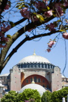 Turkey, Istanbul, Sultanahmet, Haghia Sophia central dome of the former Byzantine Church and later Mosque now a museum.