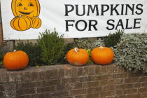 Food, Fruit, Cucurbitapepo, Pumpkins on sale at farm shop.