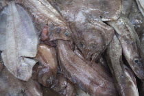 Ireland, North, Belfast, St Georges Market, close up of fresh fish display.