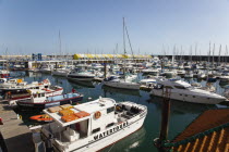 England, East Sussex, Brighton, view over boats moored in the Marina.