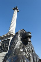 England, London, Trafalgar Square, Lion statue and Nelson's column.