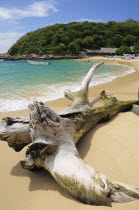 Mexico, Oaxaca, Puerto Escondido, Bleached tree stump on sand at Playa Manzanillo beach with tourist boats, people and tree covered headland beyond.