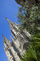 Spain, Catalonia, Barcelona, The main facade and spire of the Cathedral with olive trees and palms in the foreground in the Old Town district.