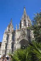 Spain, Catalonia, Barcelona, People on the steps below the main facade and spire of the Gothic Cathedral with olive tree and palms in the foreground in the Old Town district.