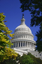 USA, Washington DC, Capitol Building,The building's dome with Statue of Freedom on top seen from Capitol Gardens.