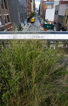 USA, New York, Manhattan, the Wildflower Field on the High Line linear park on a disused elevated railroad spur called the West Side Line crossing West 27th Street below in Midtown.