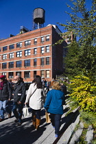 USA New York, Manhattan, people walking beside small trees in the Chelsea Thicket on the High Line linear park on a disused elevated railroad spur of the West Side Line passing a red brick factory war...