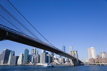 USA, New York, skyscrapers of Lower Manhatten and the suspension bridge spanning the East River seen from Brooklyn Bridge Park.