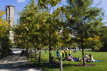 USA, New York, Brooklyn Bridge Park, people on the grass of Harbor View Lawns at Pier 1 below the suspension bridge in autumn.