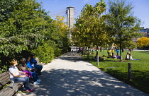 USA, New York, Brooklyn Bridge Park, people on the grass of Harbor View Lawns at Pier 1 below the suspension bridge in autumn.