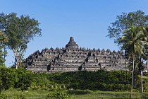 Indonesia, Java, Borobudur, View of the monument, framed by trees in the surrounding park.