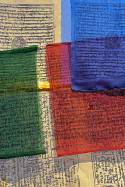 Bihar; Bodhgaya; Mahabodhi Temple; South Asia;Brightly coloured Buddhist prayer flags in the grounds of the Mahabodhi Temple.