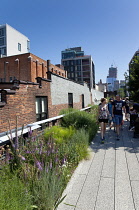 USA, New York State, New York City, Manhattan, The High Line public park on disused elevated railway track in the meat packing district.