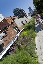 USA, New York State, New York City, Manhattan, The High Line public park on disused elevated railway track in the meat packing district.