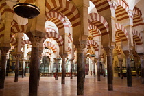 Spain, Andalucia, Cordoba, The Hypostyle Hall of the Mezquita Cathedral.