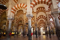 Spain, Andalucia, Cordoba, The Hypostyle Hall of the Mezquita Cathedral.