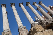 Spain, Andalucia, Cordoba, Columns of the Roman Temple.