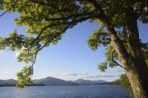 Scotland, Loch Lomond, Balmaha, Loch Lomond views.