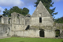 Scotland, Loch Lomond, Priory of Inchmahome, 12thC ruins of Augustinian priory.