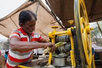 India, Rajasthan, Pushkar, Sugar cane vendor.