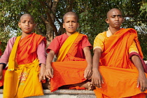 India, Bihar, Bodhgaya, Young Buddhist monks in orange and saffron coloured robes.